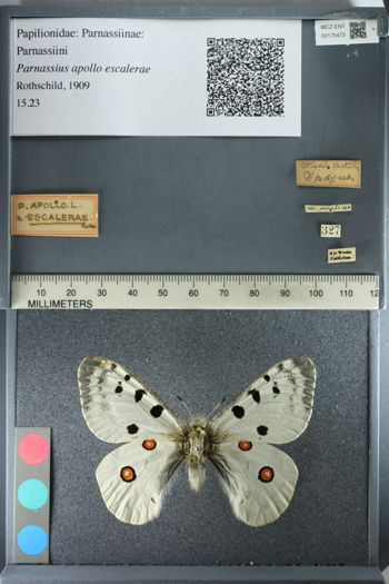 Media type: image;   Entomology 175473